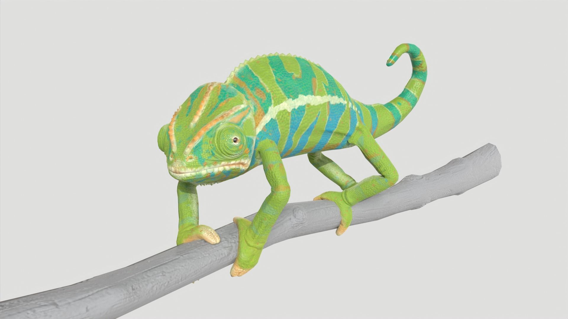 Chameleon Rigged and Animated Low-poly 3D model_8