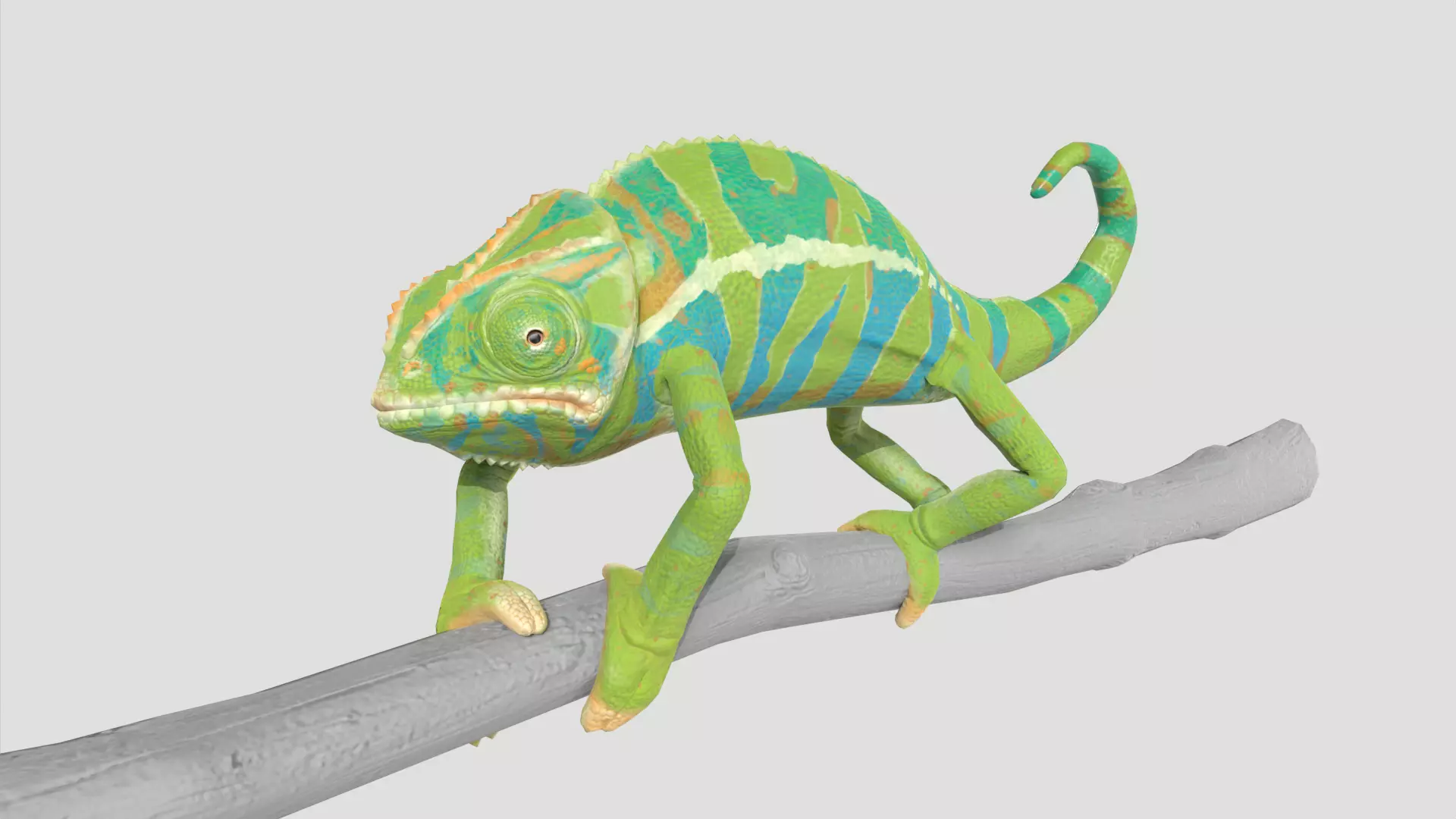 Chameleon Rigged and Animated Low-poly 3D model_0