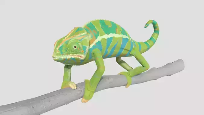 Chameleon rigged Low-poly 3D model