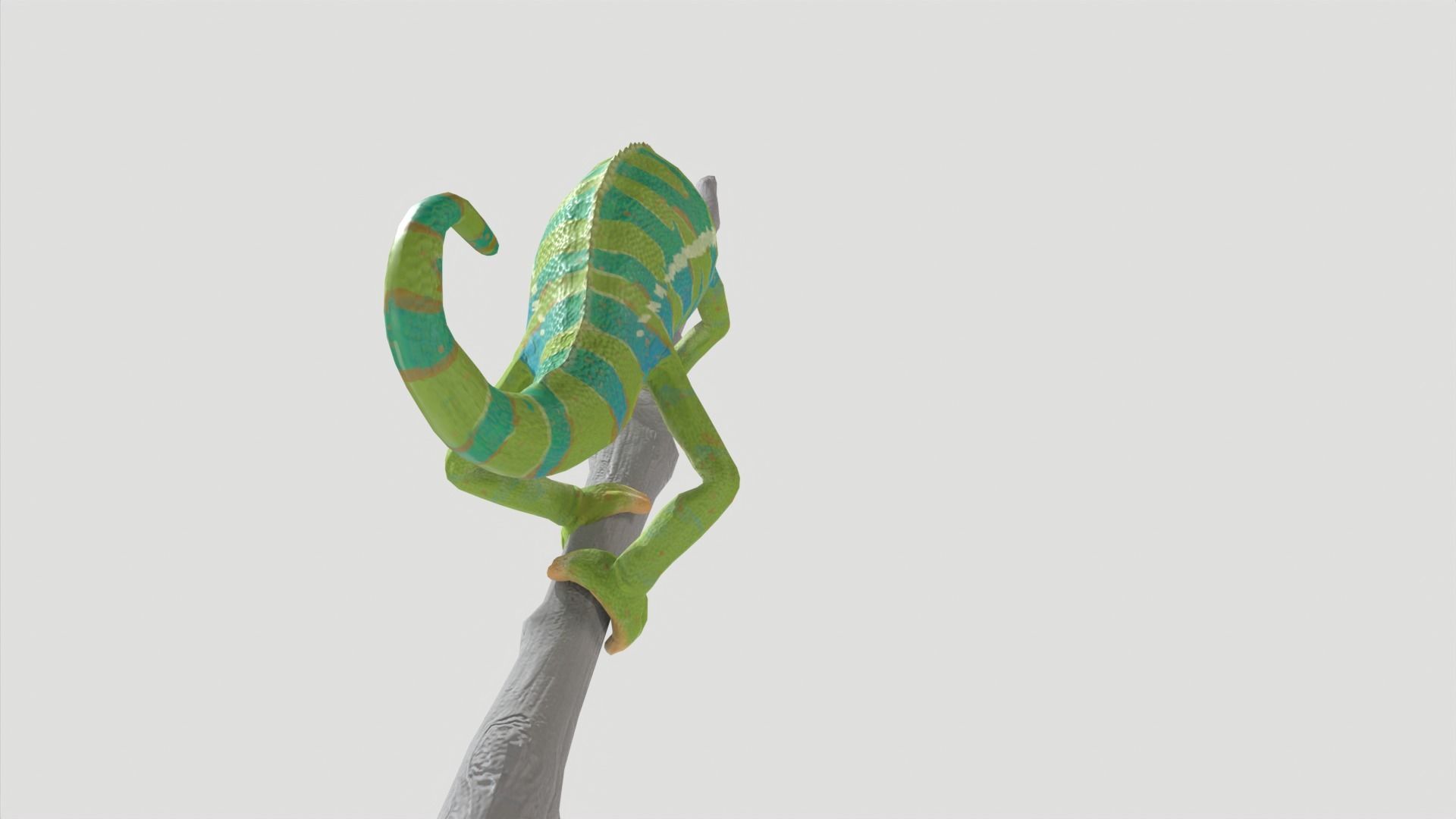 Chameleon Rigged and Animated Low-poly 3D model_6