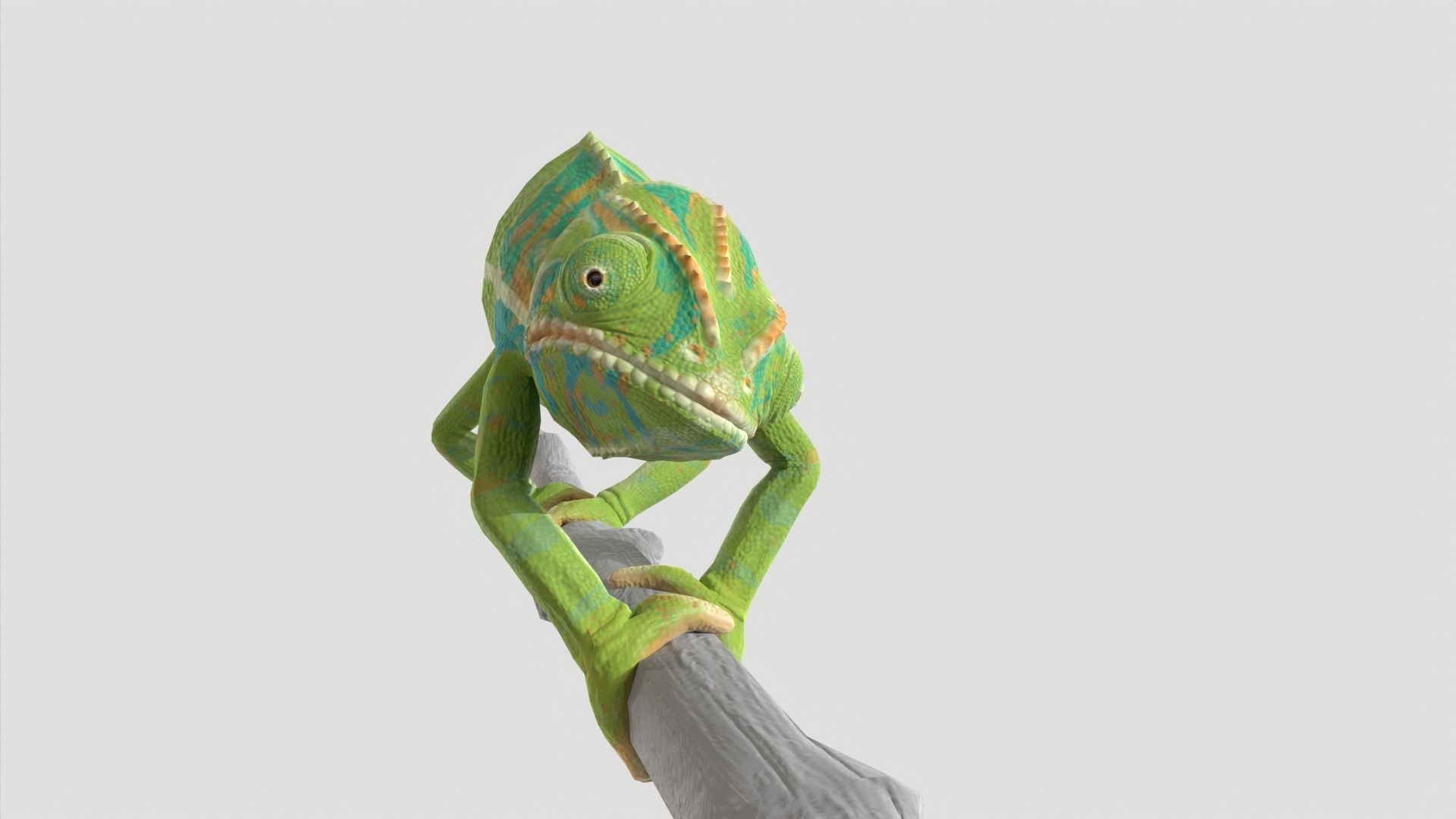 Chameleon Rigged and Animated Low-poly 3D model_7