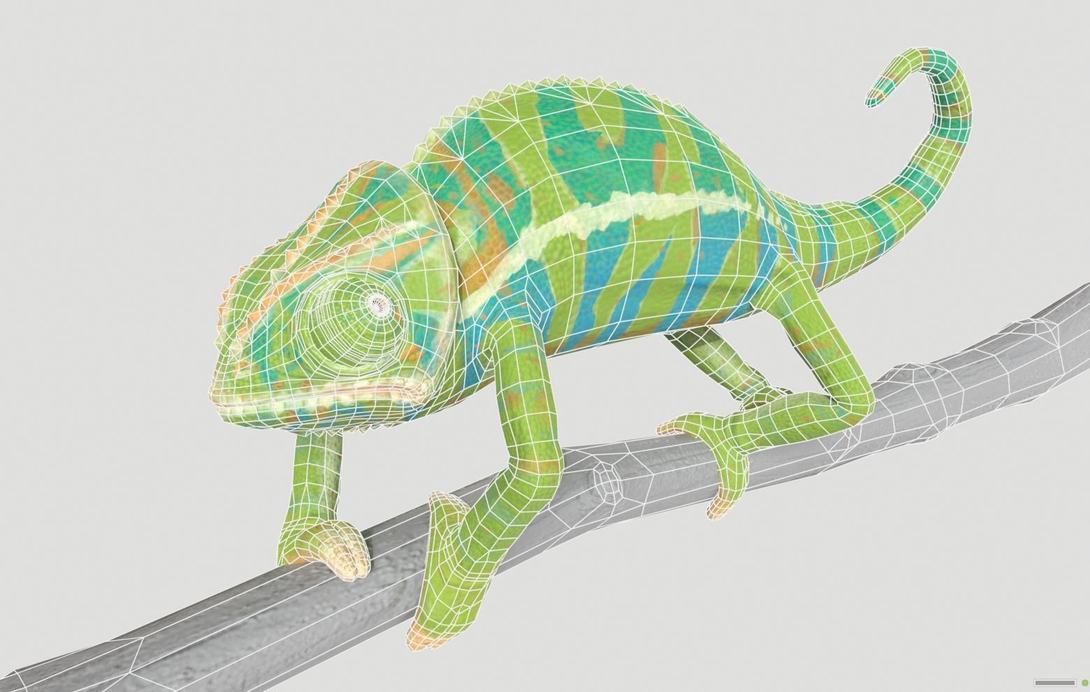 Chameleon Rigged and Animated Low-poly 3D model_9