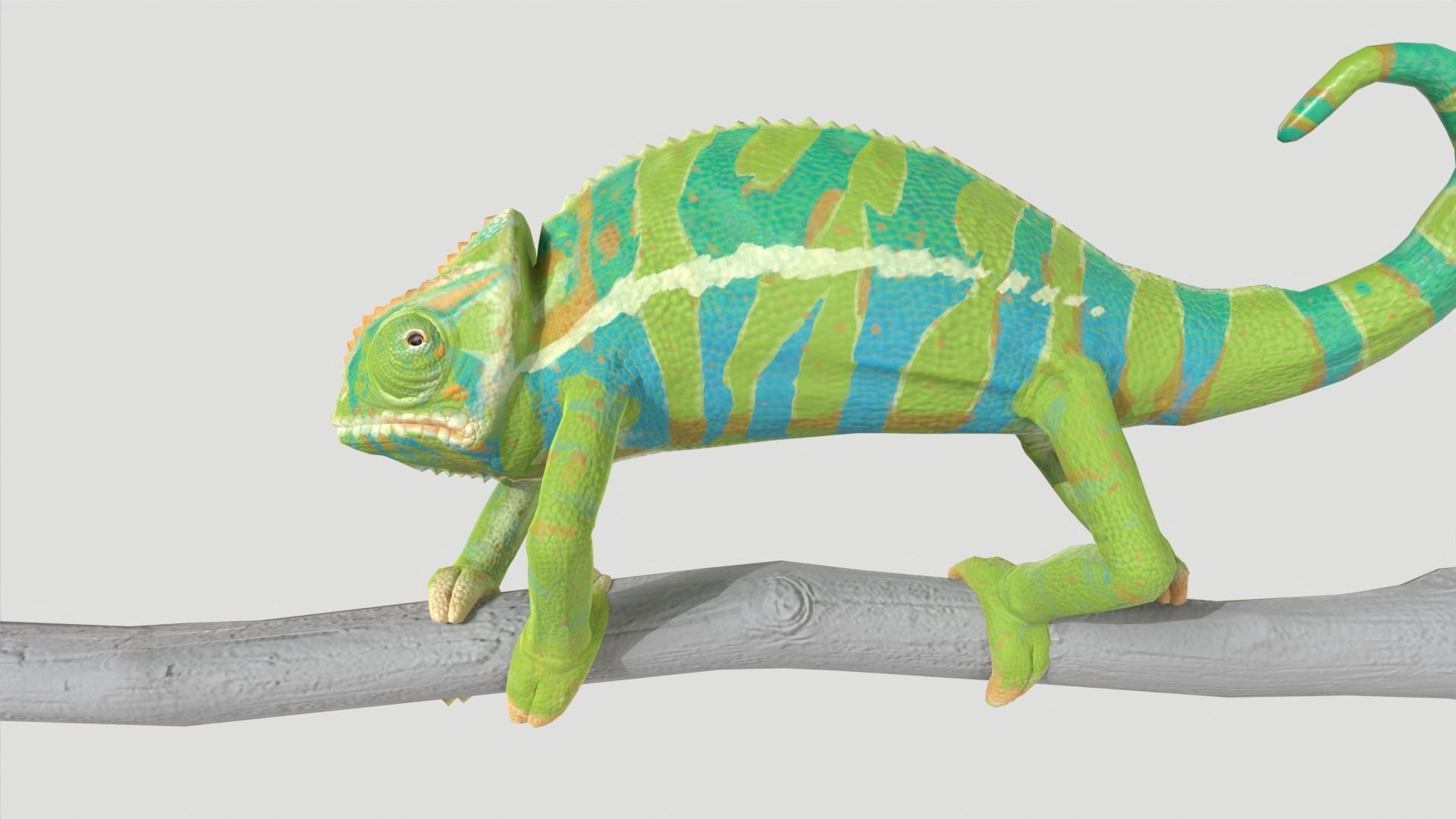 Chameleon Rigged and Animated Low-poly 3D model_2
