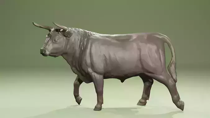 Realistic proud walking steer heck cattle or bullfighting  3D print model