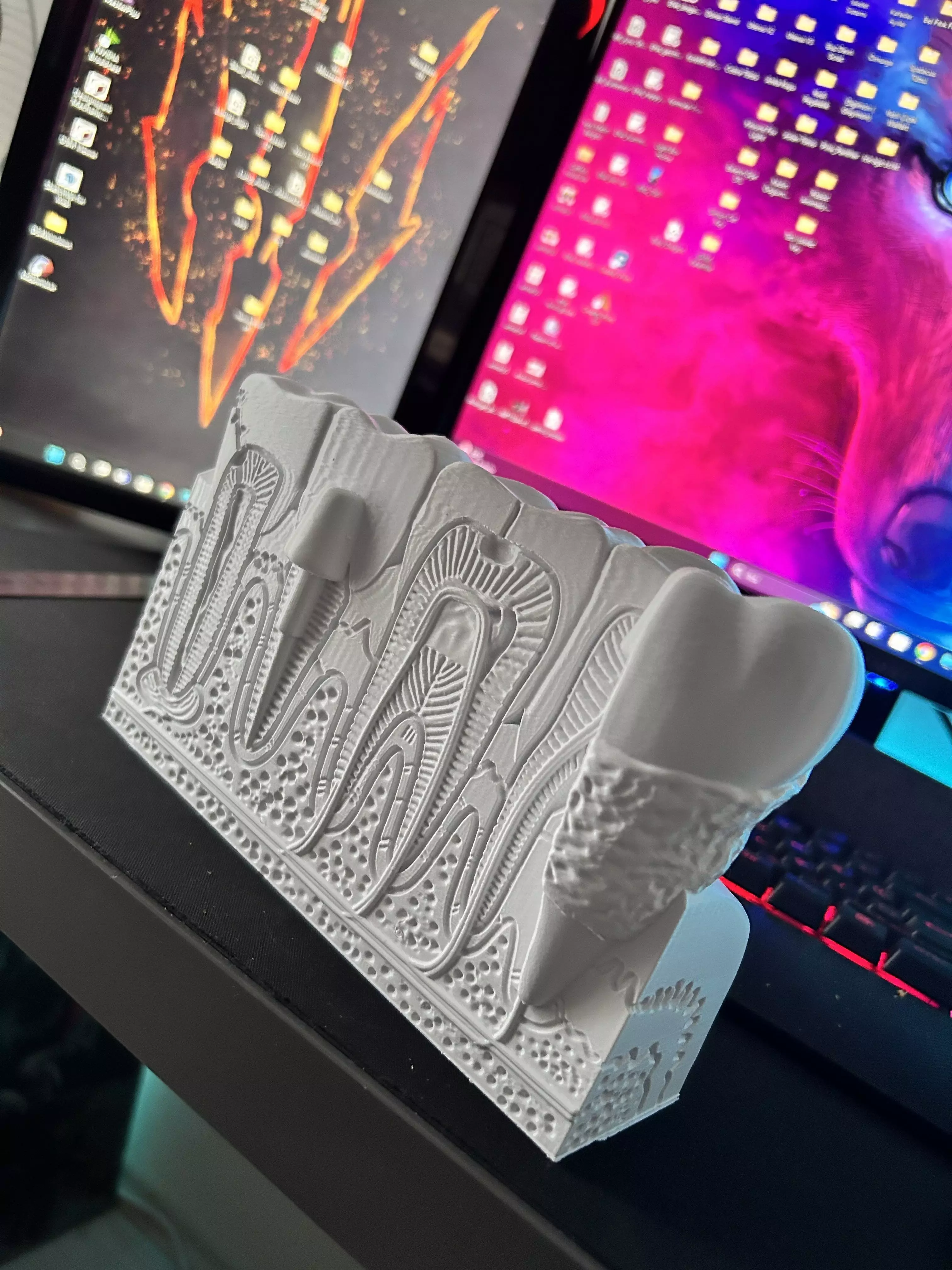 Teeth Anatomy 3D print STL 3D print model_0