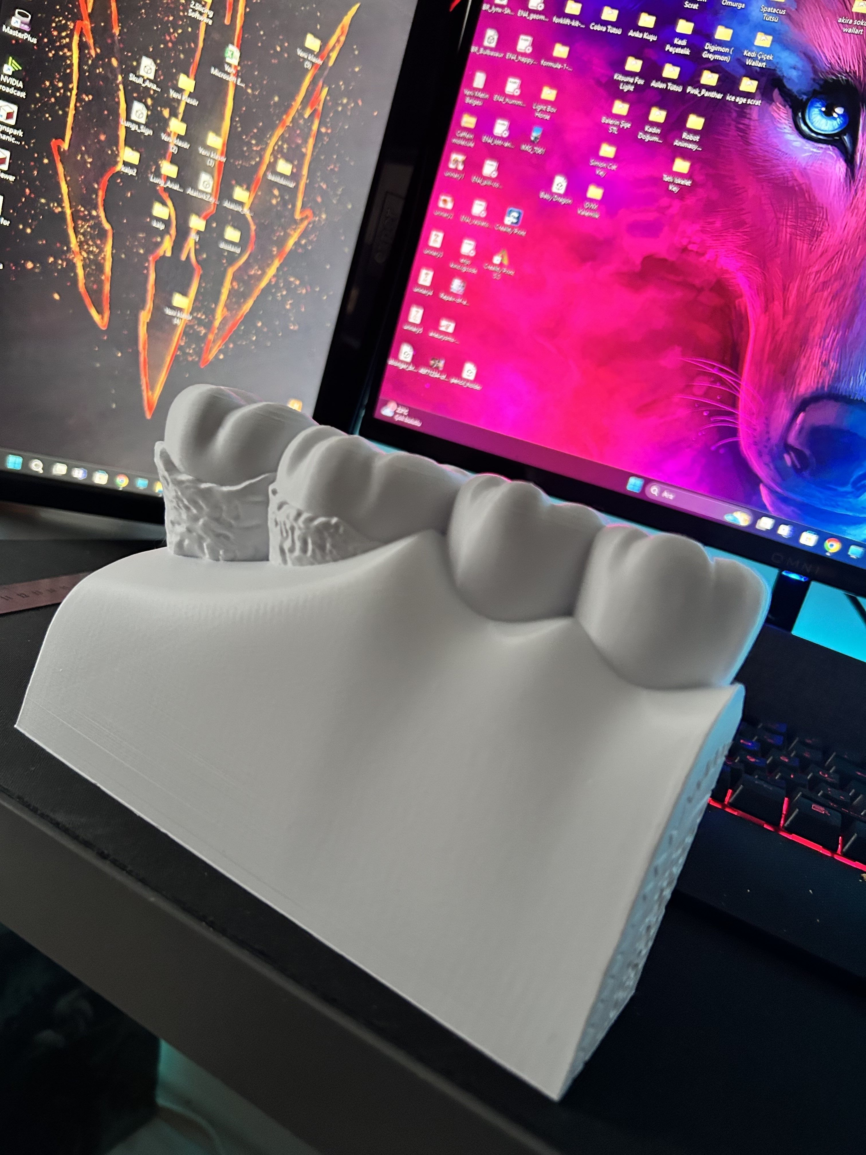 Teeth Anatomy 3D print STL 3D print model_1