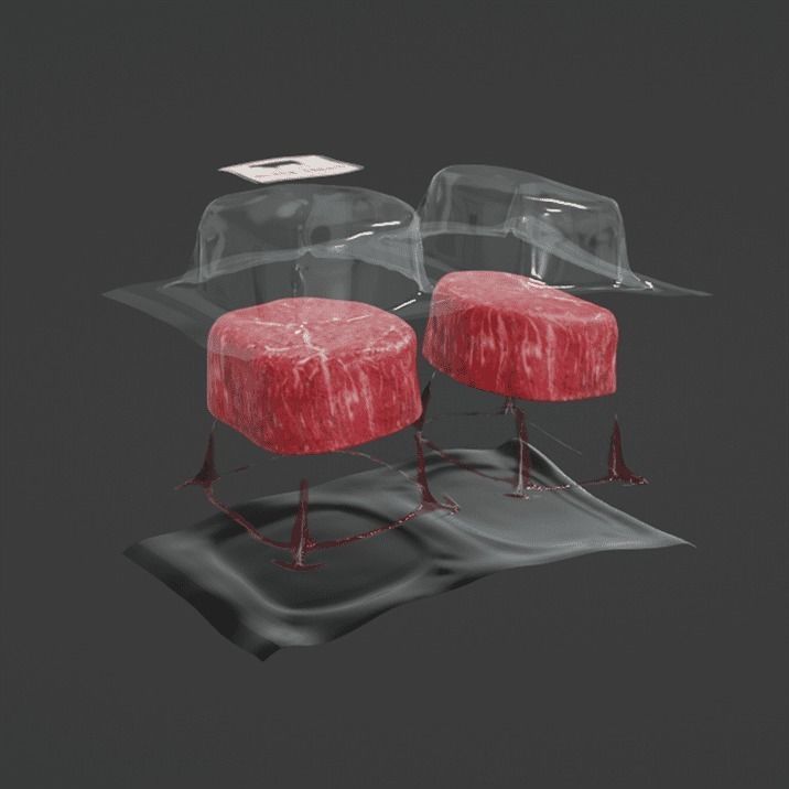 Angus Beef Vacuum 3D model_7