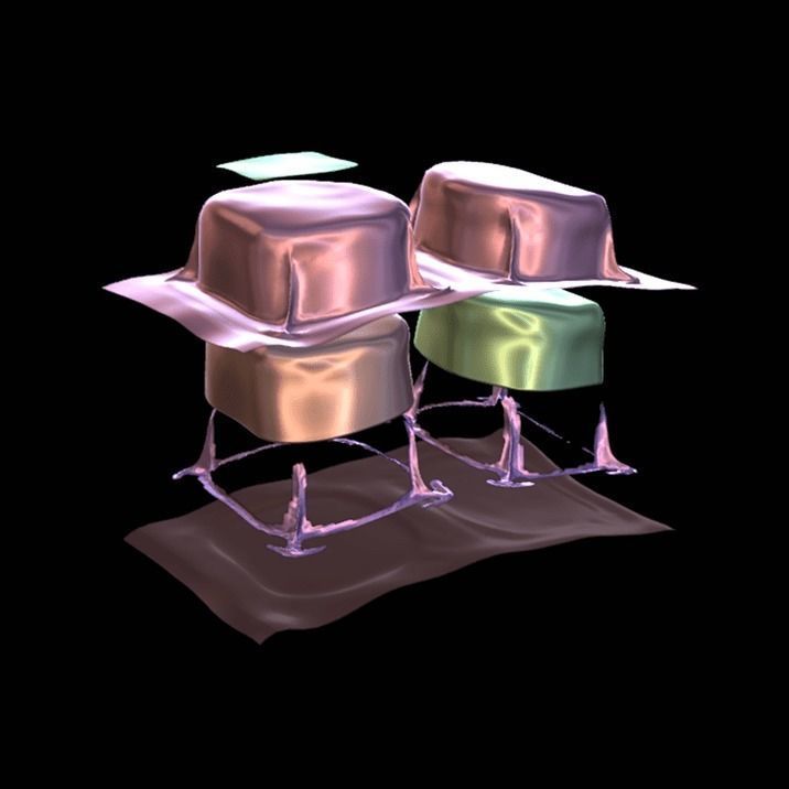 Angus Beef Vacuum 3D model_8