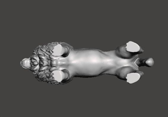 AFRICAN LION FIGURE MODEL ANIMAL CREATURE WILDLIFE REALISTIC 3D print model_5