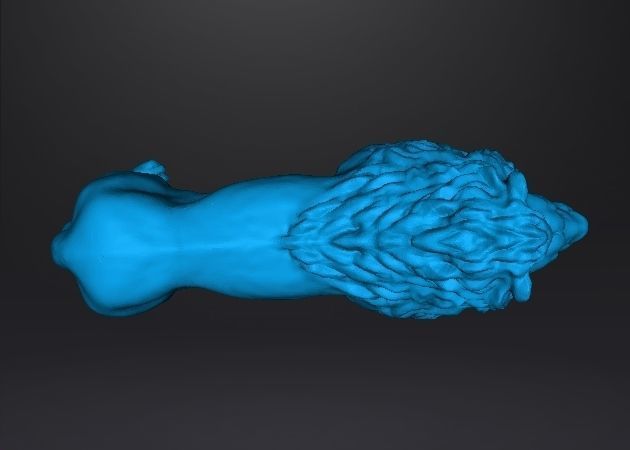 AFRICAN LION FIGURE MODEL ANIMAL CREATURE WILDLIFE REALISTIC 3D print model_10