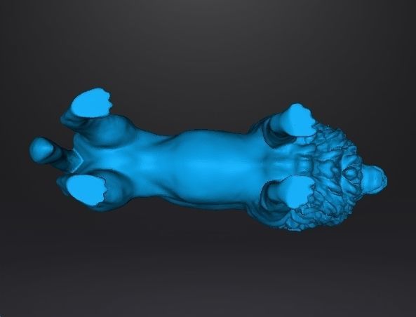 AFRICAN LION FIGURE MODEL ANIMAL CREATURE WILDLIFE REALISTIC 3D print model_11