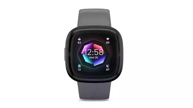 Fitbit Sense 2 Shadow Grey