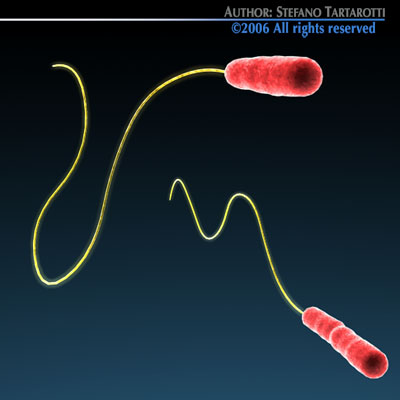 Micro cells models collection 3D model_13