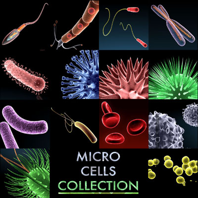 Micro cells models collection 3D model_18
