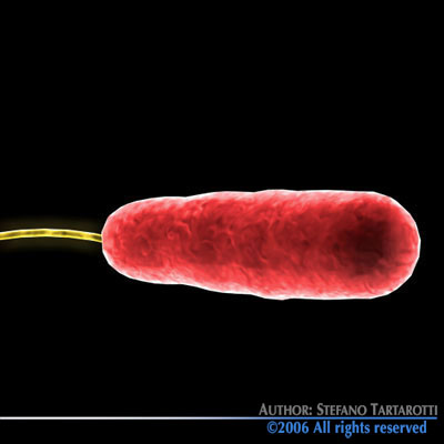 Micro cells models collection 3D model_26