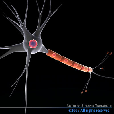 Micro cells models collection 3D model_15