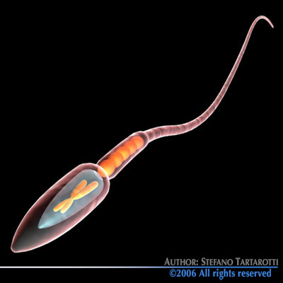 Micro cells models collection 3D model_11