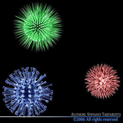 Micro cells models collection 3D model_25