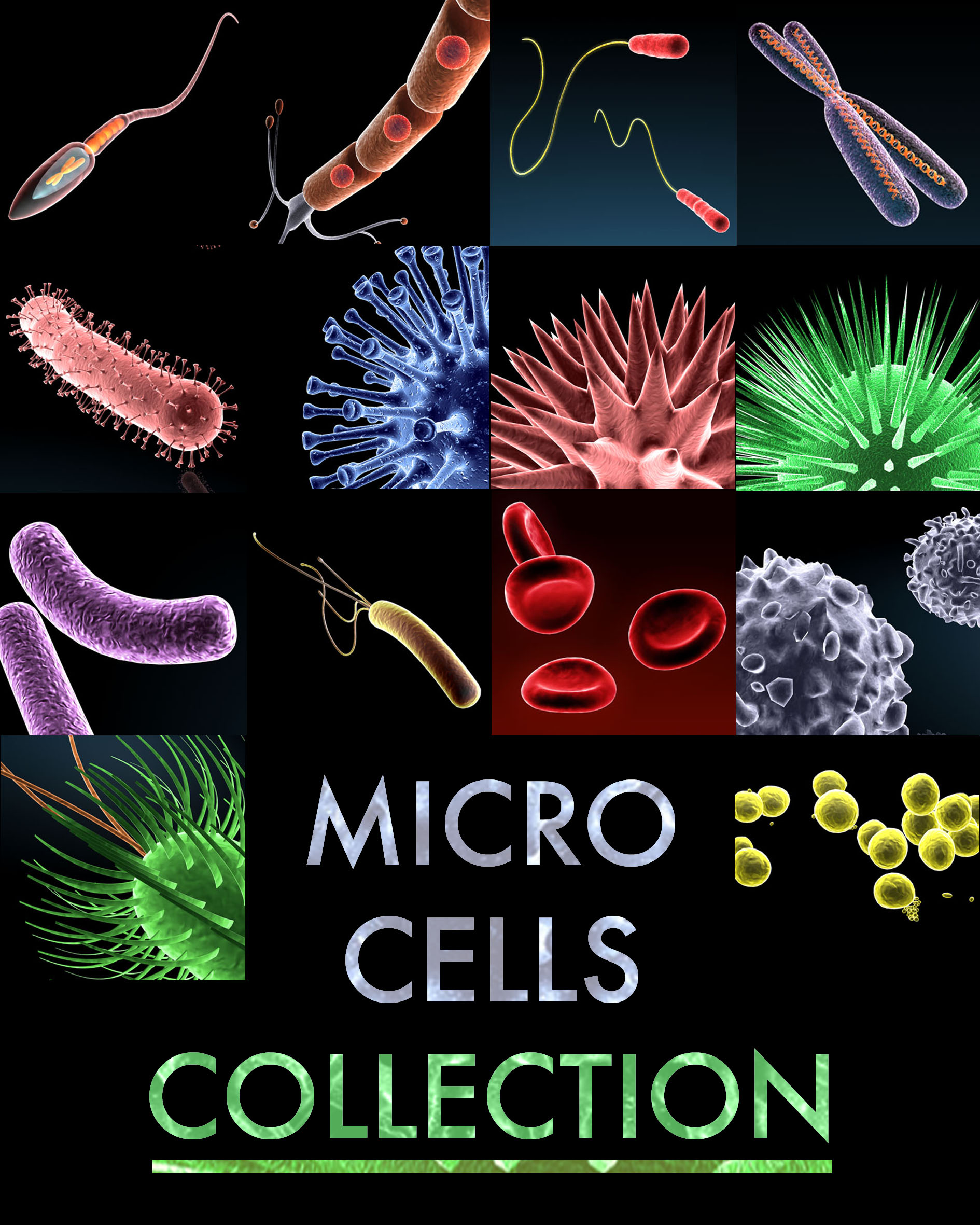 Micro cells models collection 3D model_22