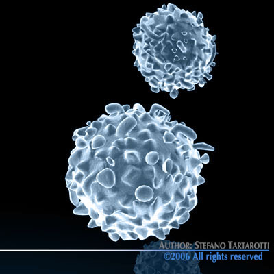 Micro cells models collection 3D model_8