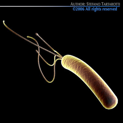 Micro cells models collection 3D model_10