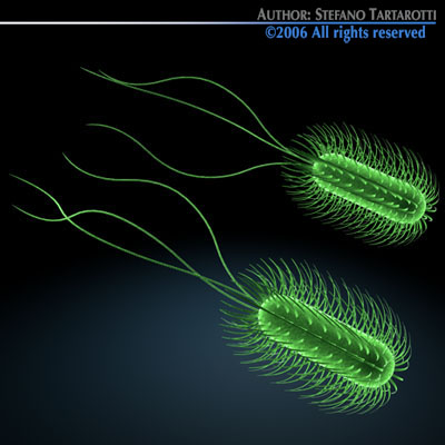 Micro cells models collection 3D model_23