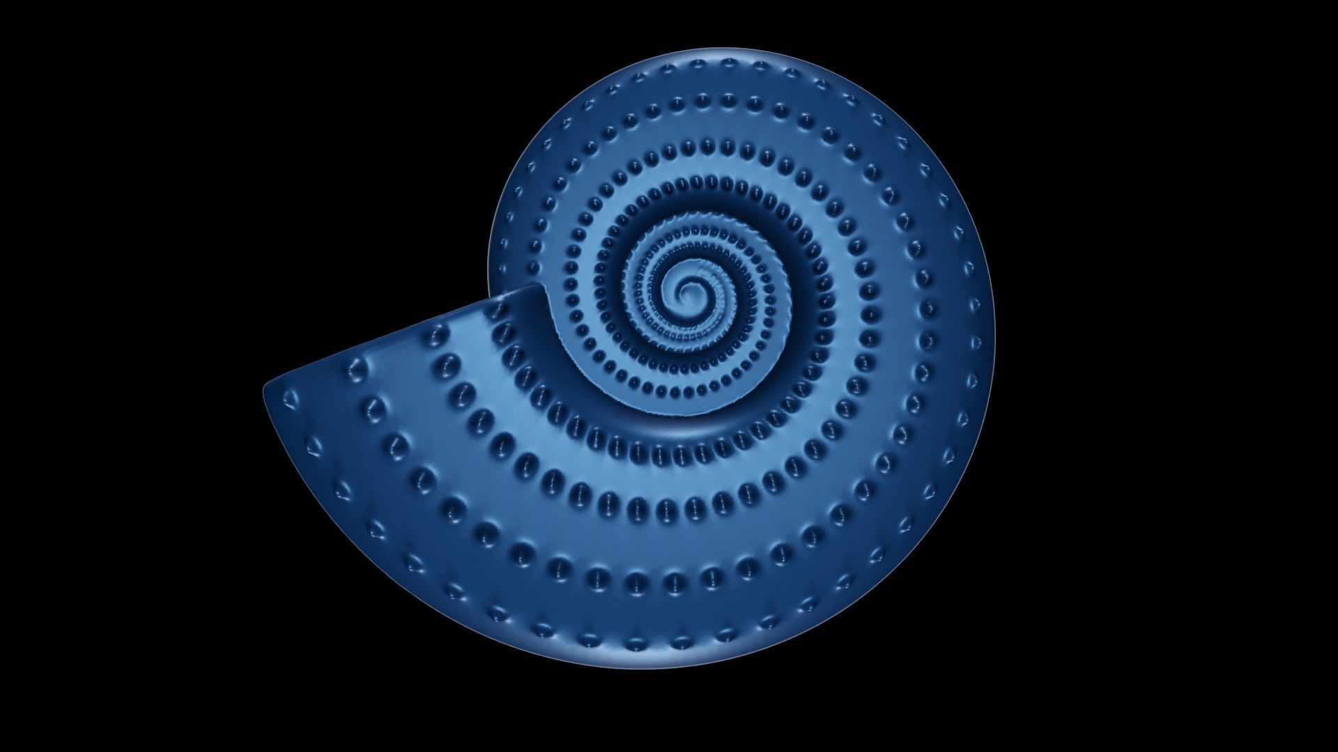 Discocone Shell Ornamented Spines 3D print model_4