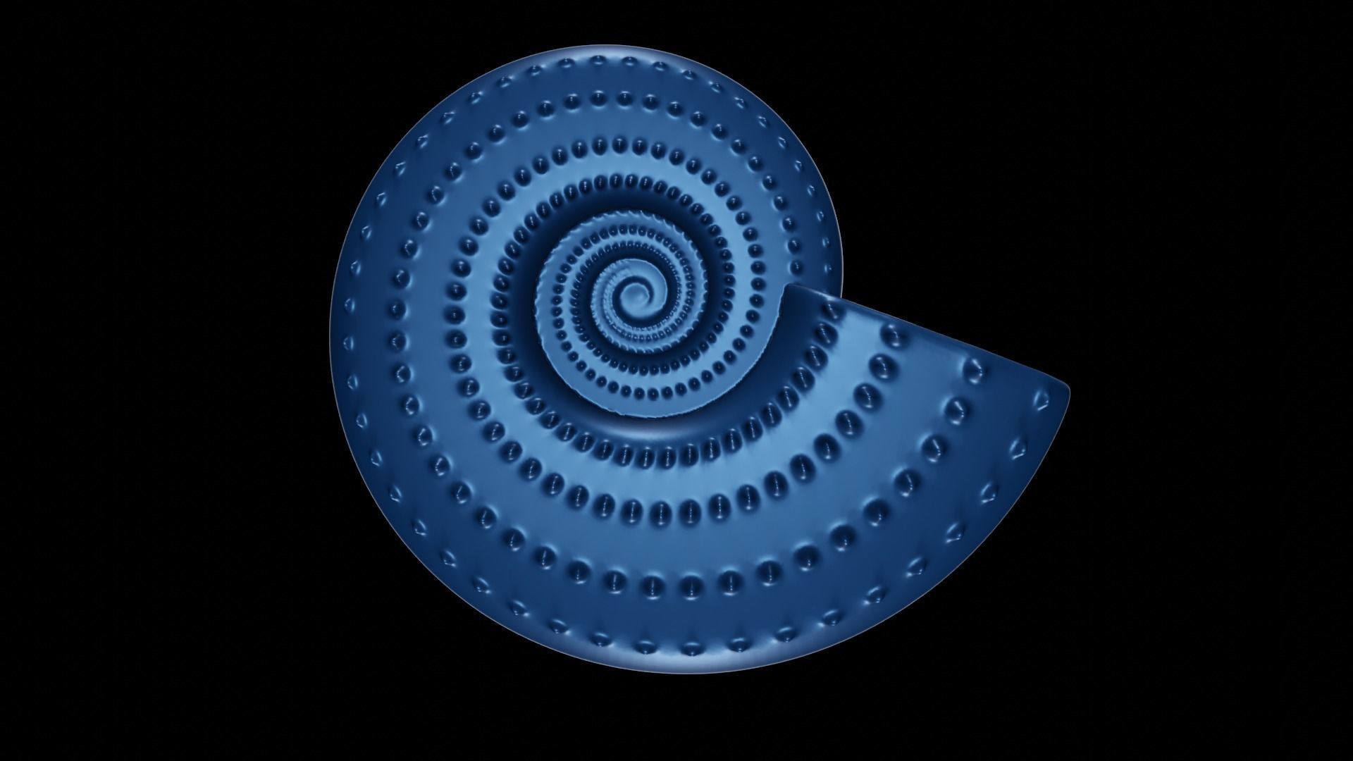 Discocone Shell Ornamented Spines 3D print model_2