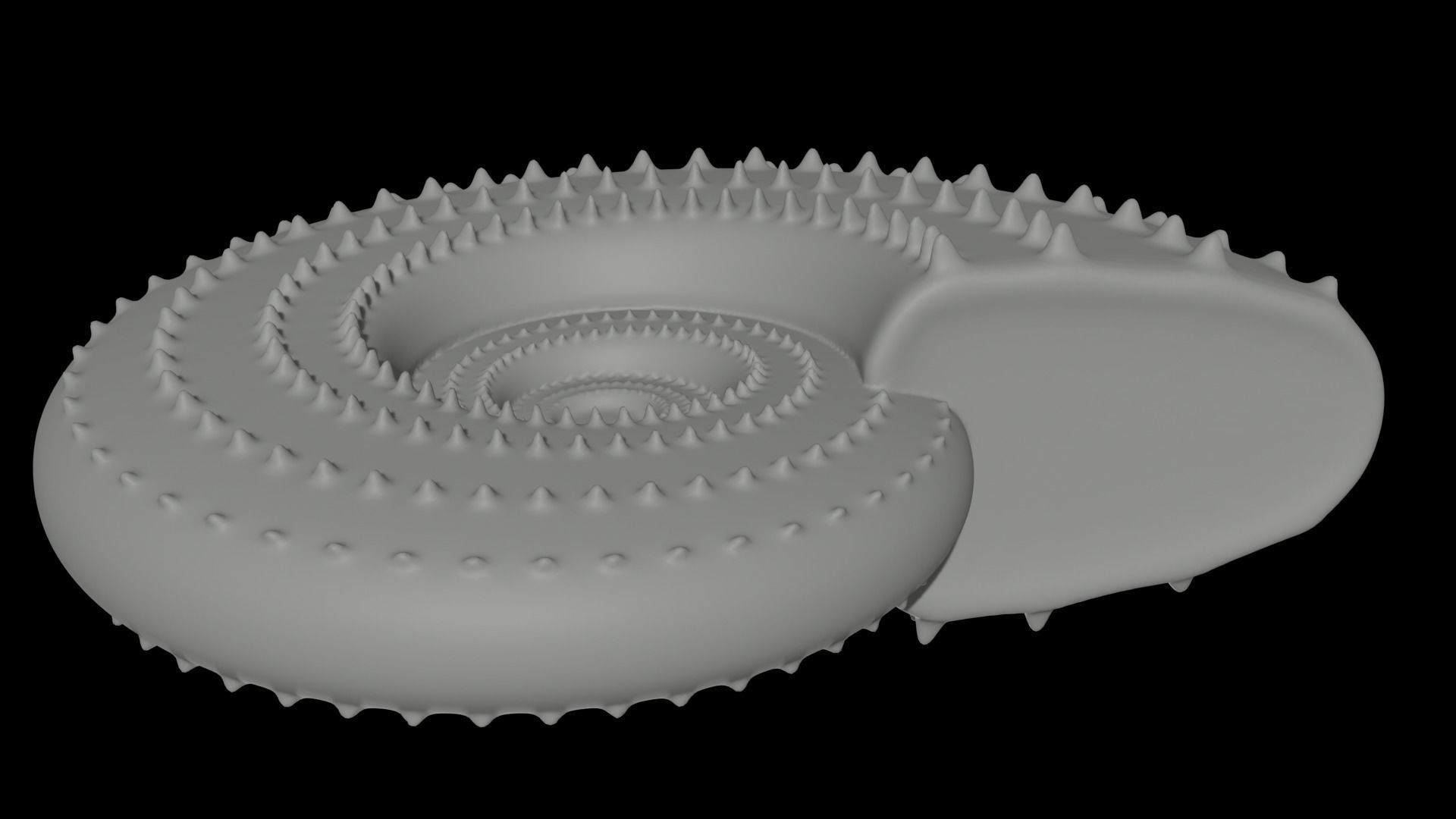 Discocone Shell Ornamented Spines 3D print model_11