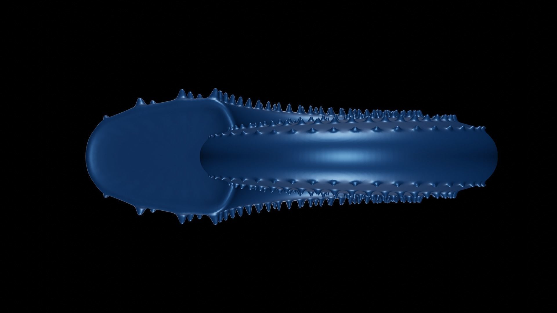 Discocone Shell Ornamented Spines 3D print model_1