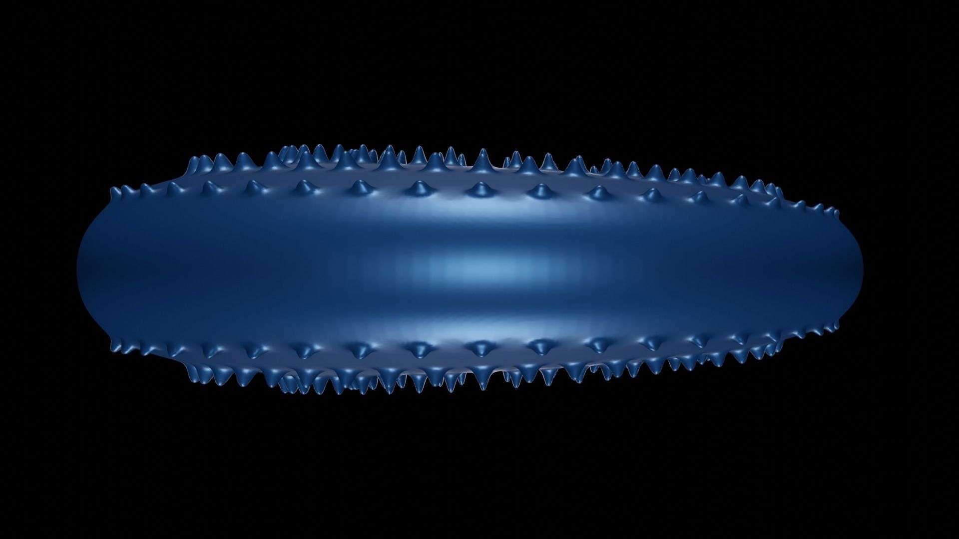 Discocone Shell Ornamented Spines 3D print model_3