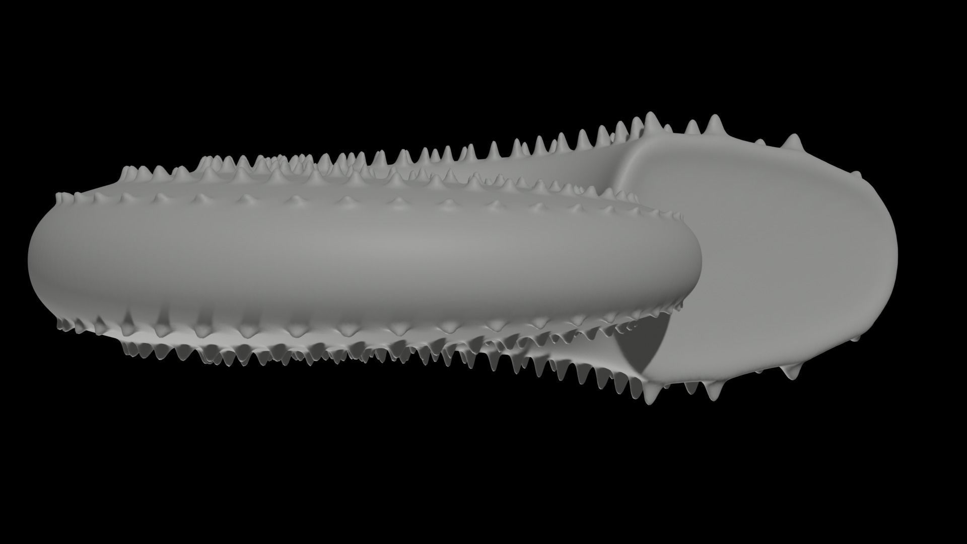 Discocone Shell Ornamented Spines 3D print model_10