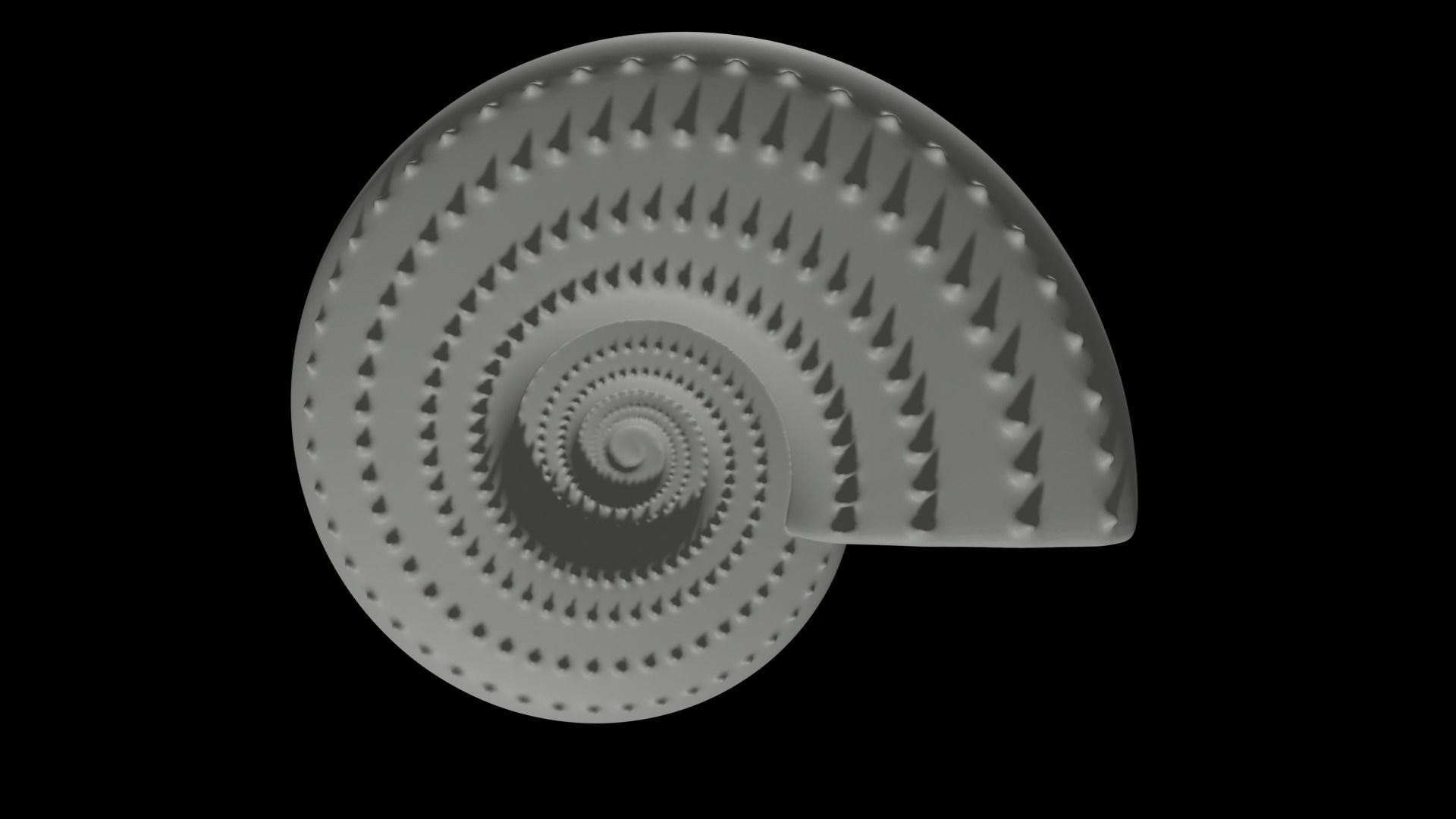 Discocone Shell Ornamented Spines 3D print model_6