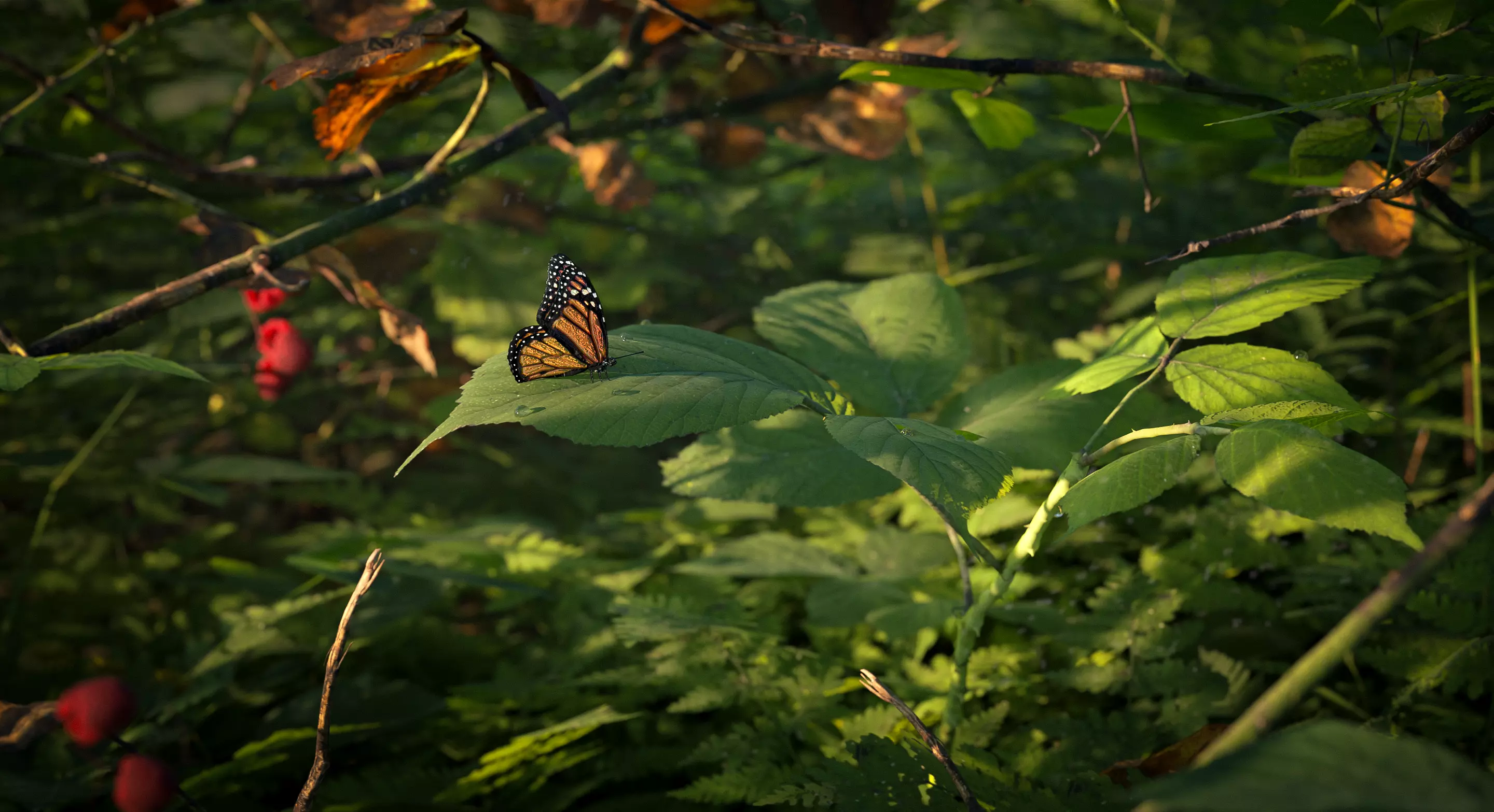 Brumble Tunnel Close-Up 3D model_0