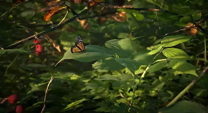Brumble Tunnel Close-Up