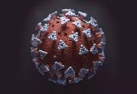 Corona Virus Covid 19 3D model_0