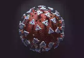 Corona Virus Covid 19