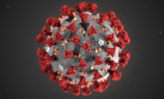 Corona Virus Covid 19 3D model_1
