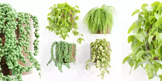 Wall hanging plants collection vol 206-Blender
