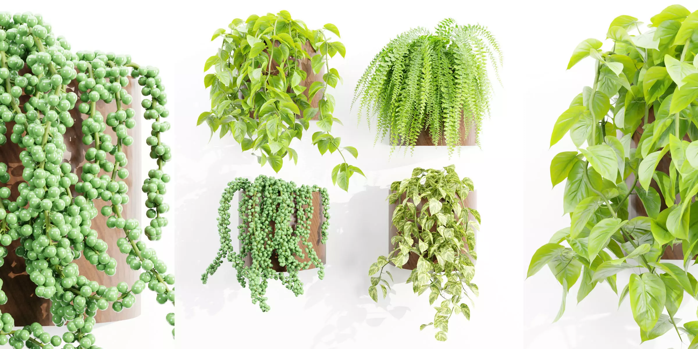 Wall hanging plants collection vol 206-Blender 3D model