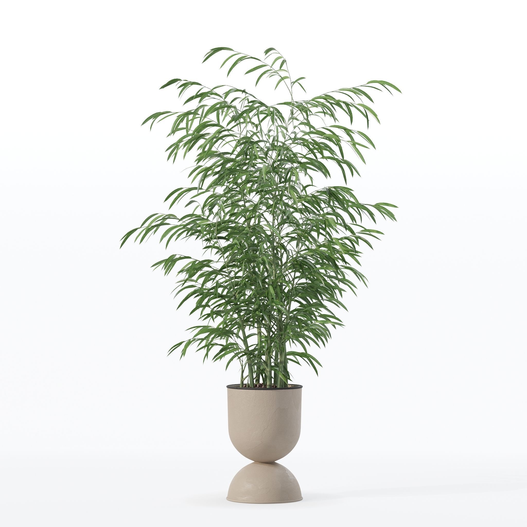 Bamboo in modern flower pot 3D model_19