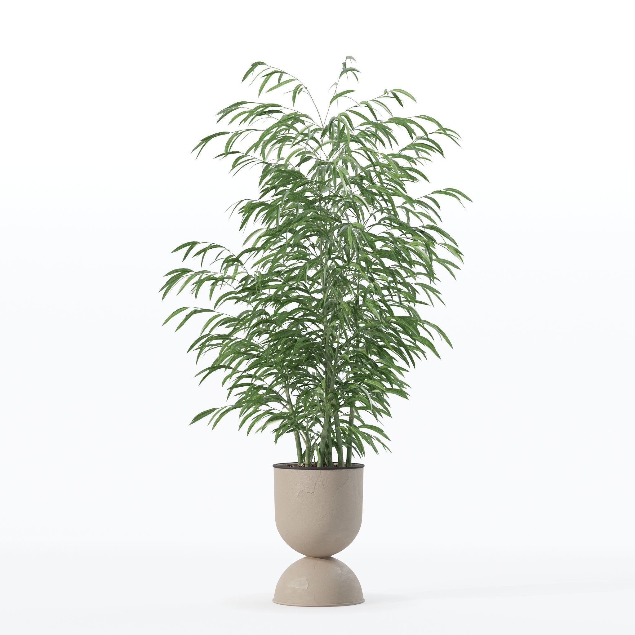 Bamboo in modern flower pot 3D model_21