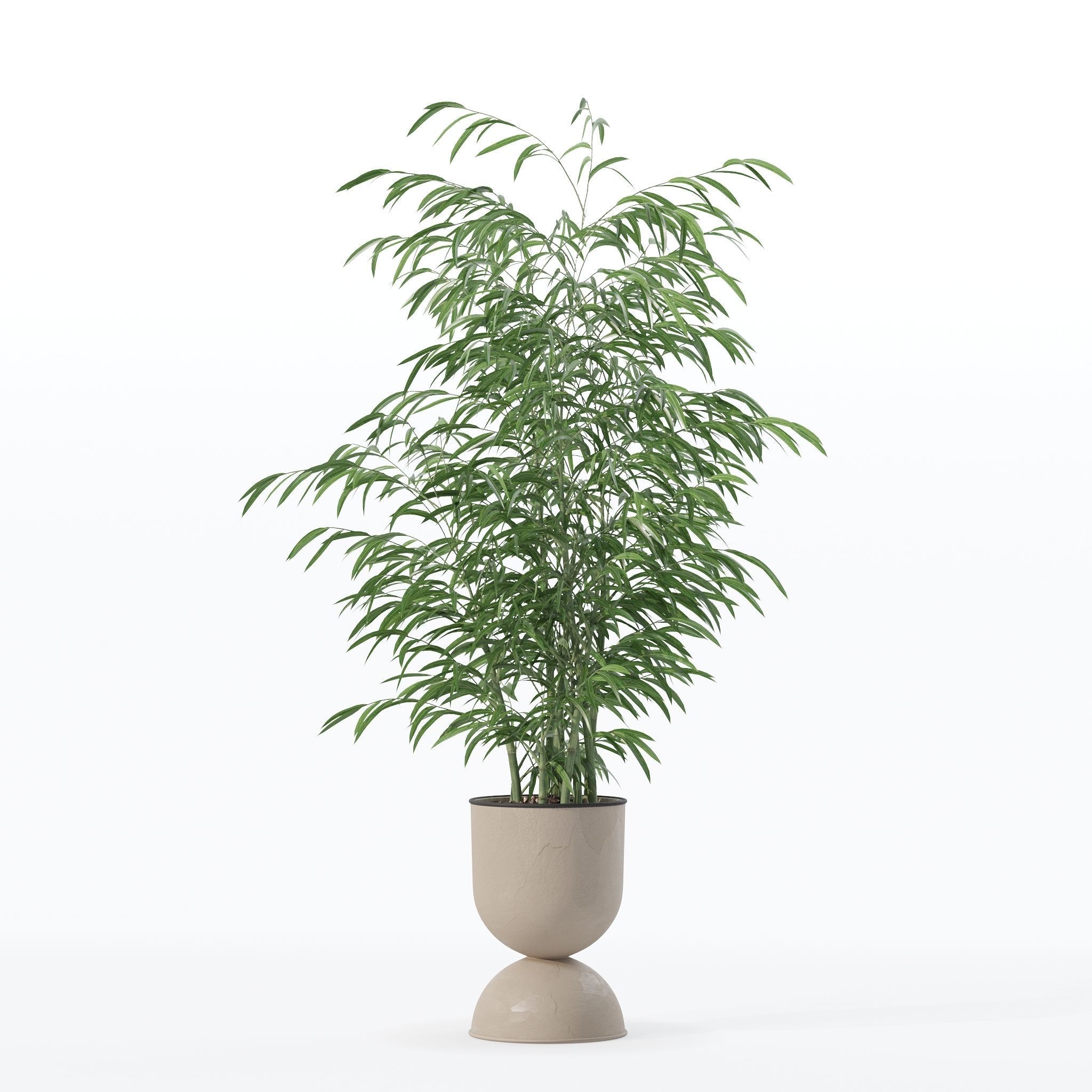 Bamboo in modern flower pot 3D model_20