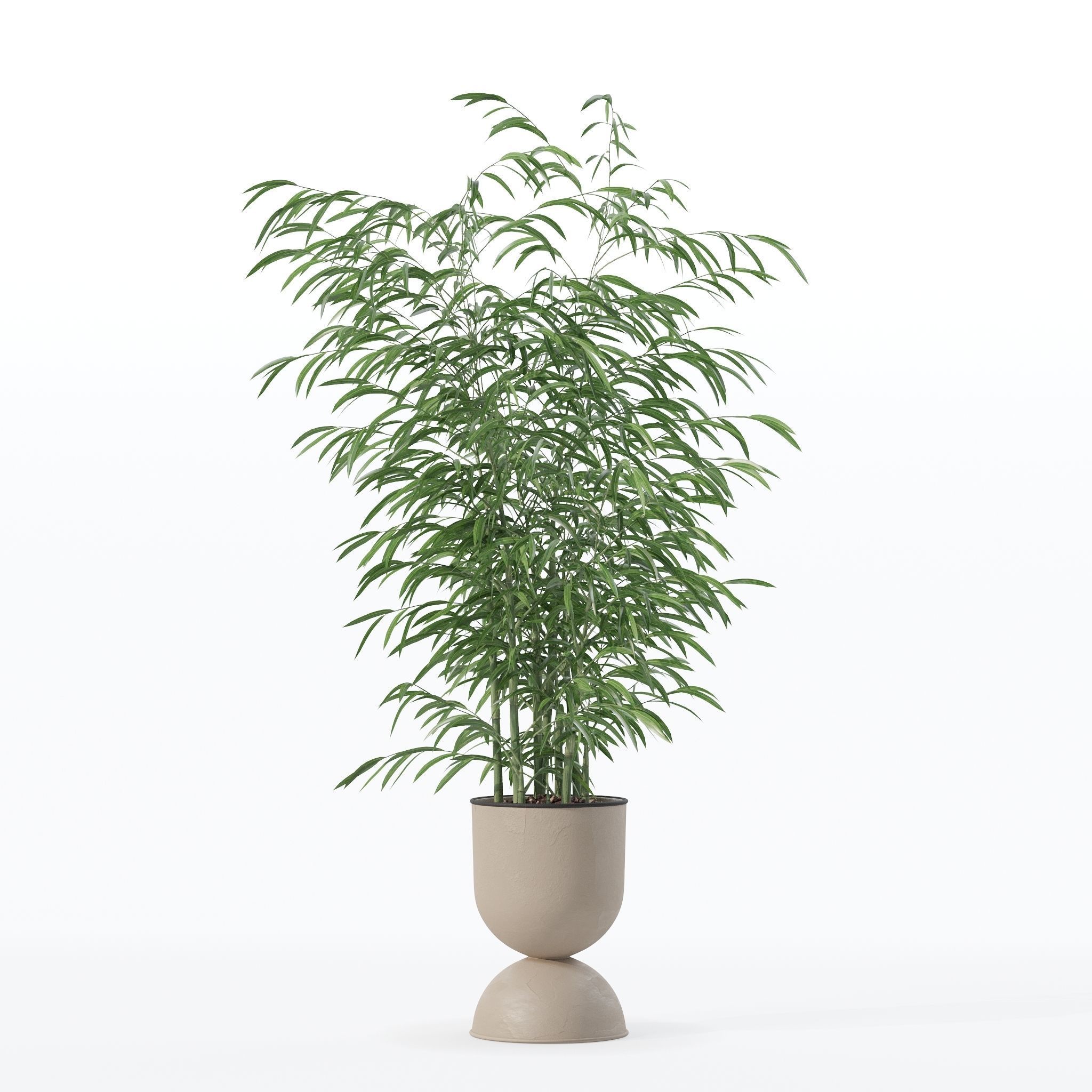 Bamboo in modern flower pot 3D model_15