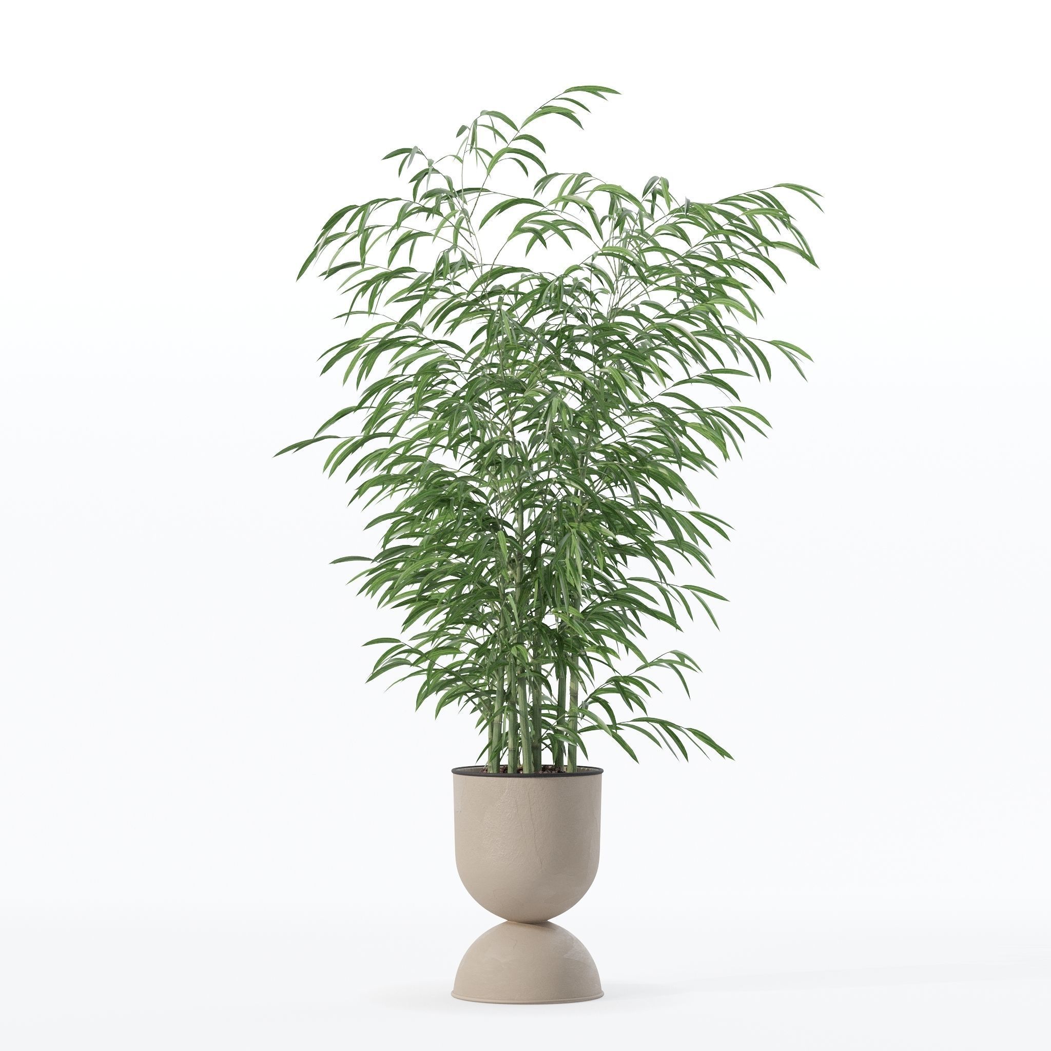 Bamboo in modern flower pot 3D model_24