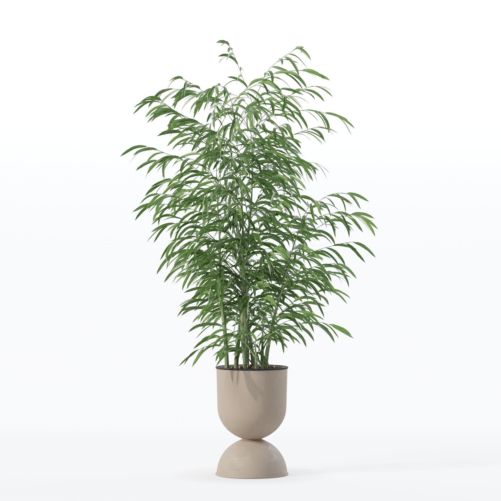 Bamboo in modern flower pot 3D model_13