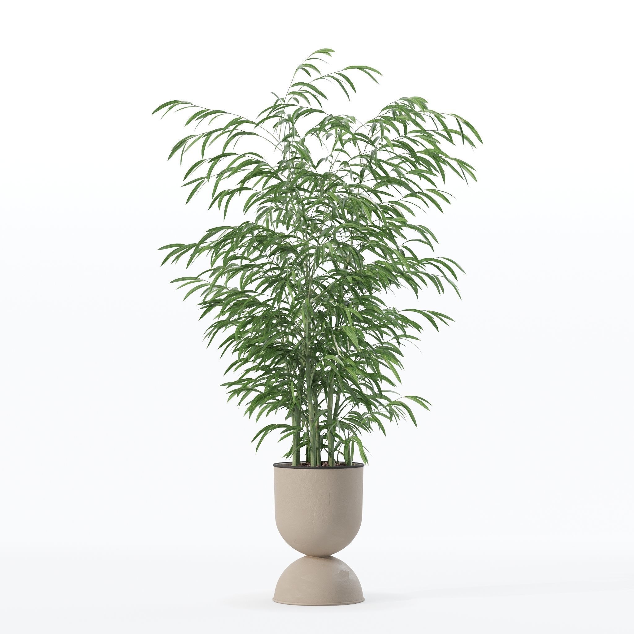 Bamboo in modern flower pot 3D model_8