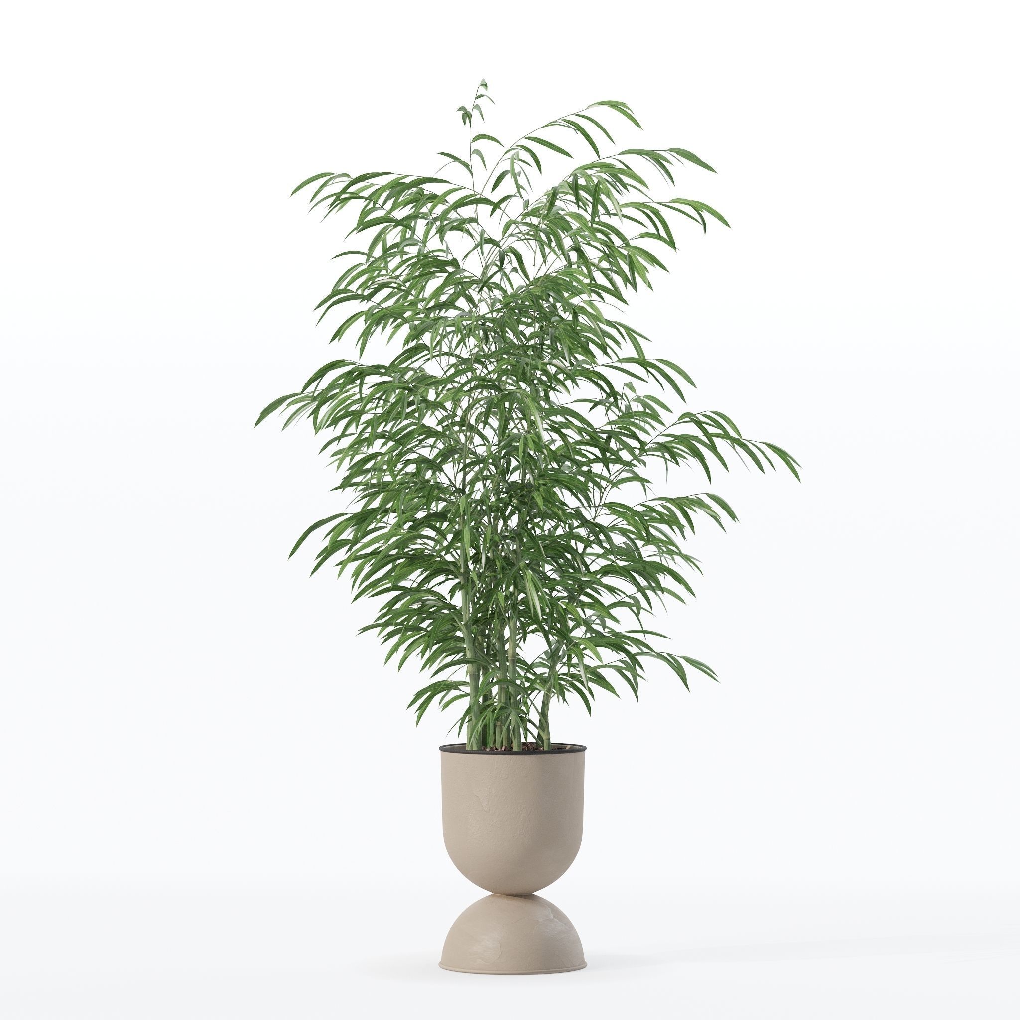 Bamboo in modern flower pot 3D model_11