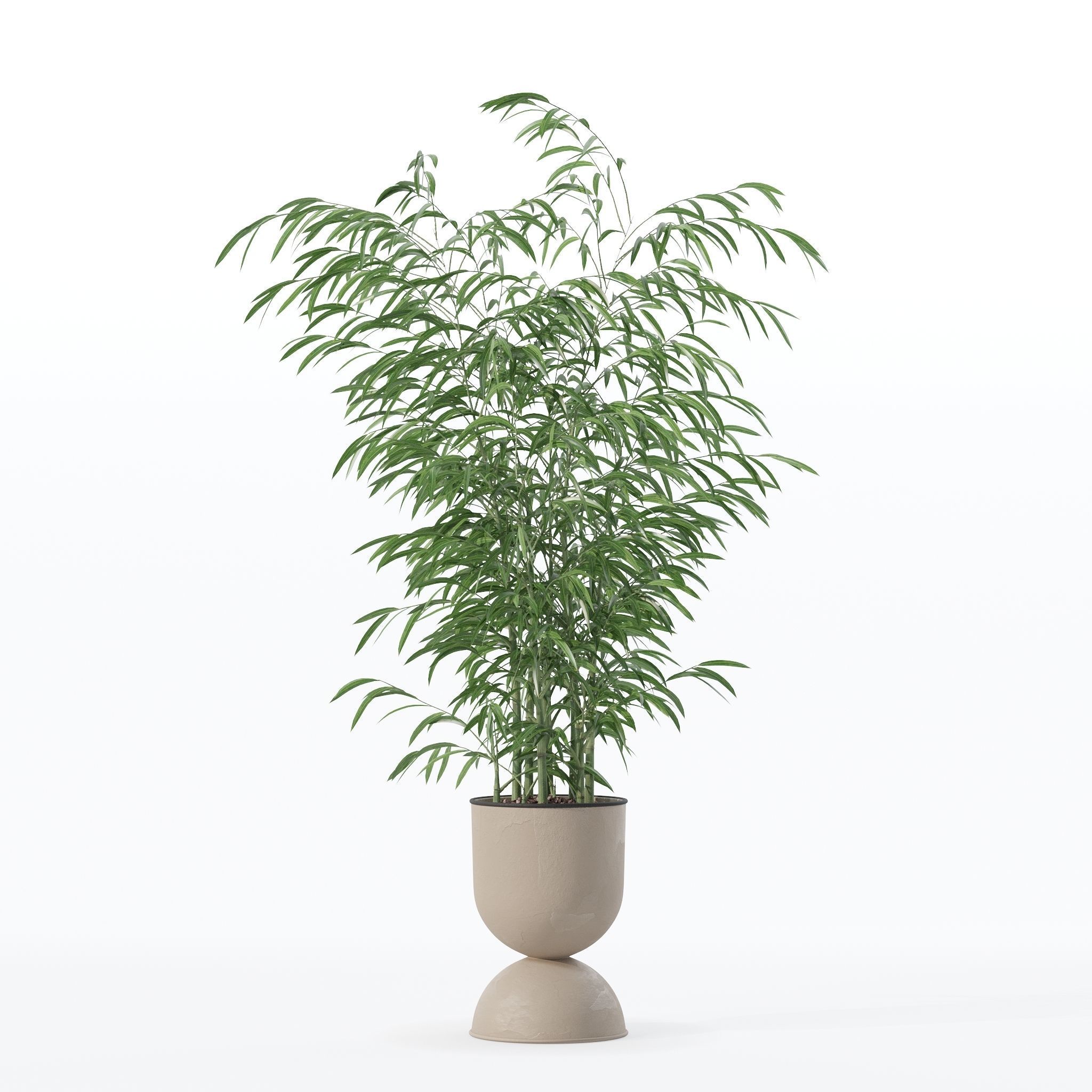 Bamboo in modern flower pot 3D model_17