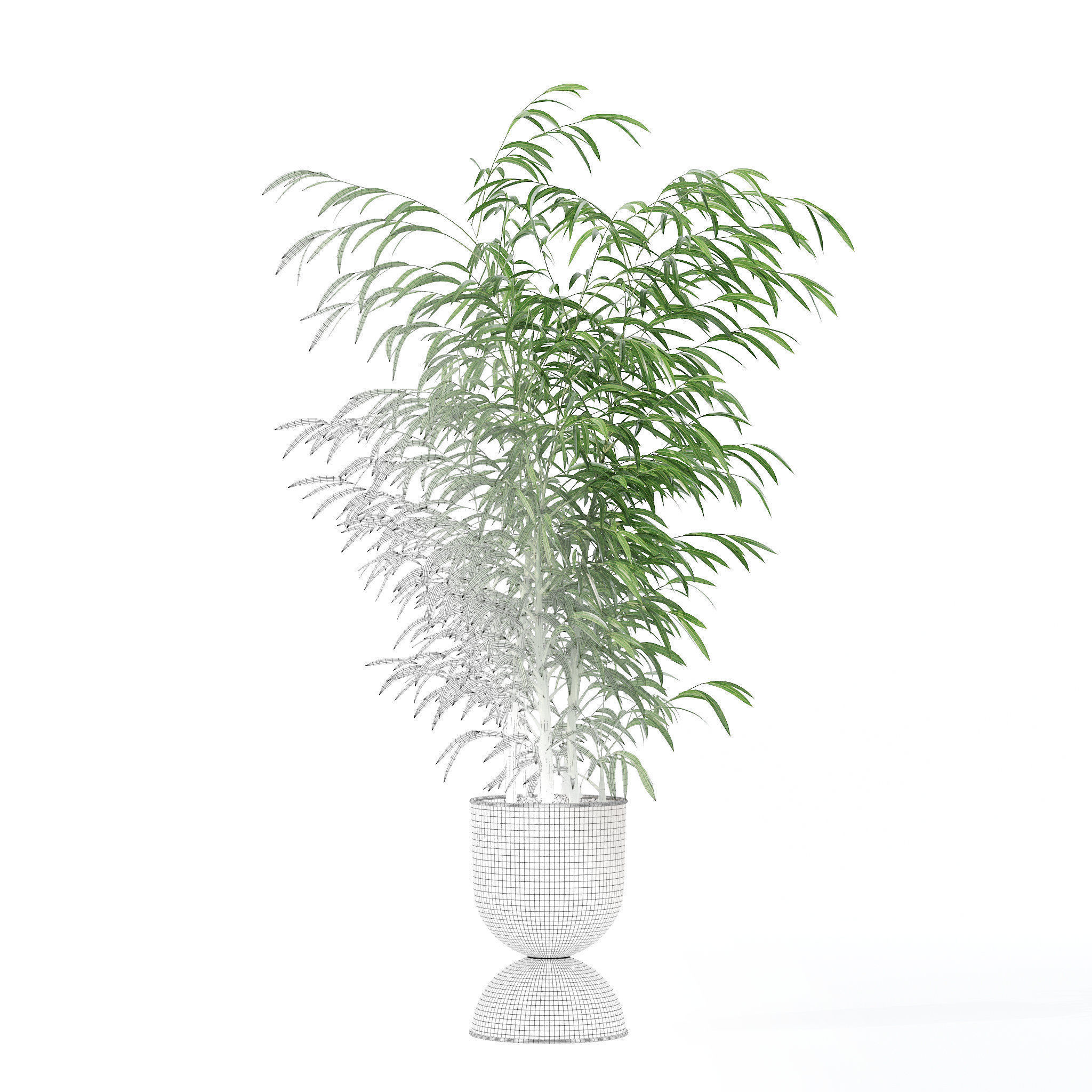 Bamboo in modern flower pot 3D model_5